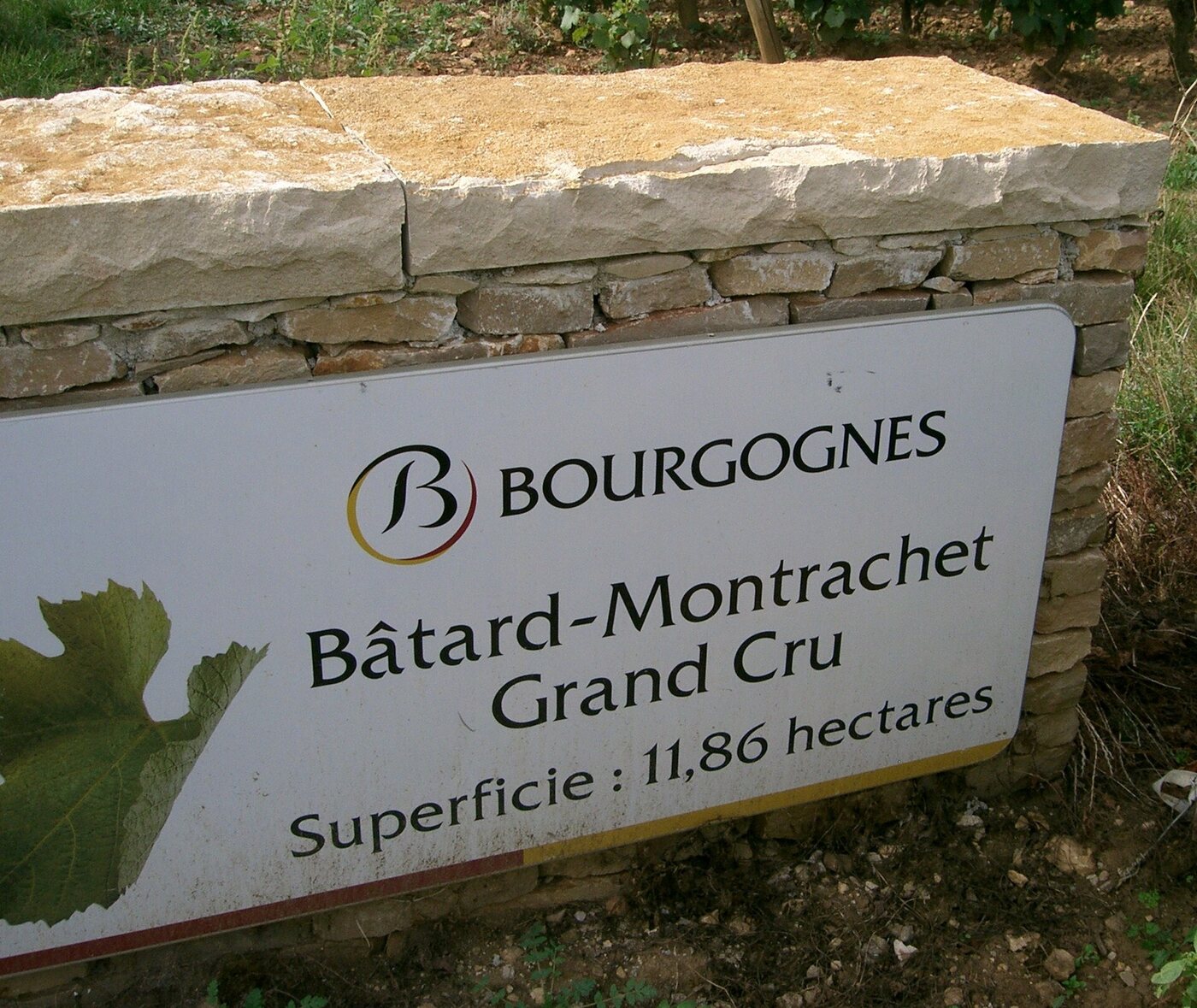 Bâtard-montrachet