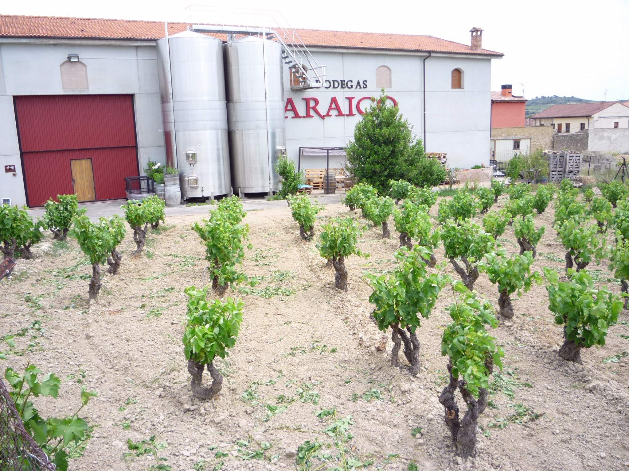 Bodegas Araico