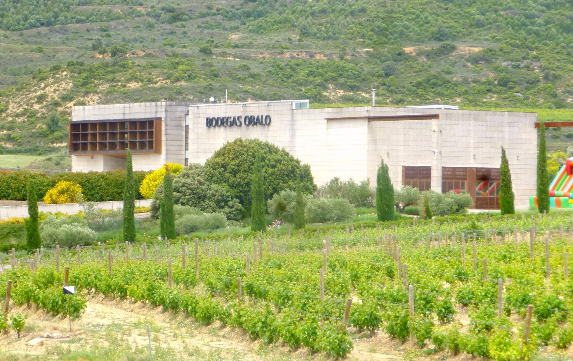 Bodegas Obalo