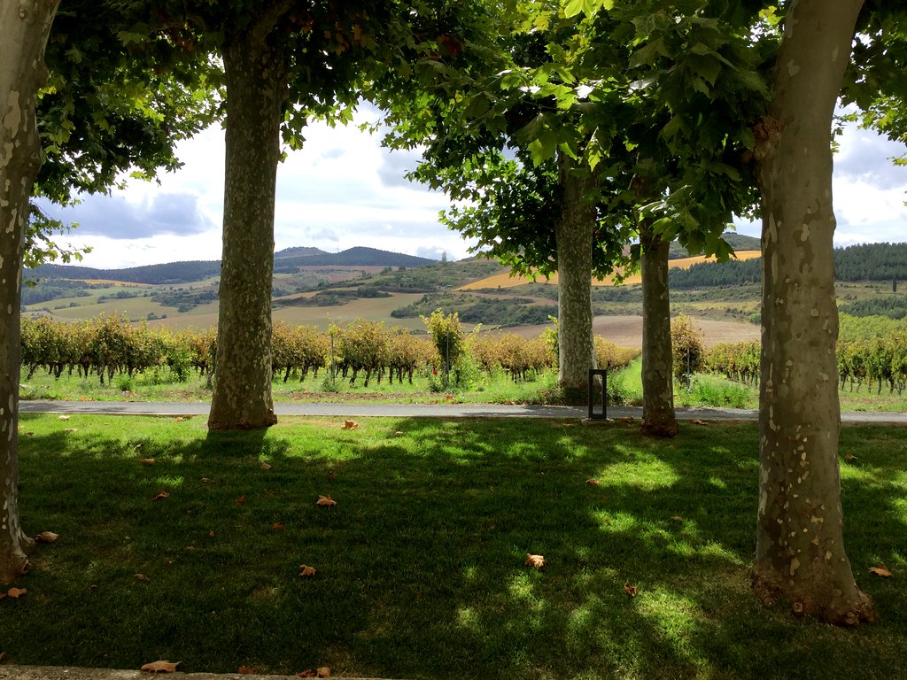 Bodegas Otazu