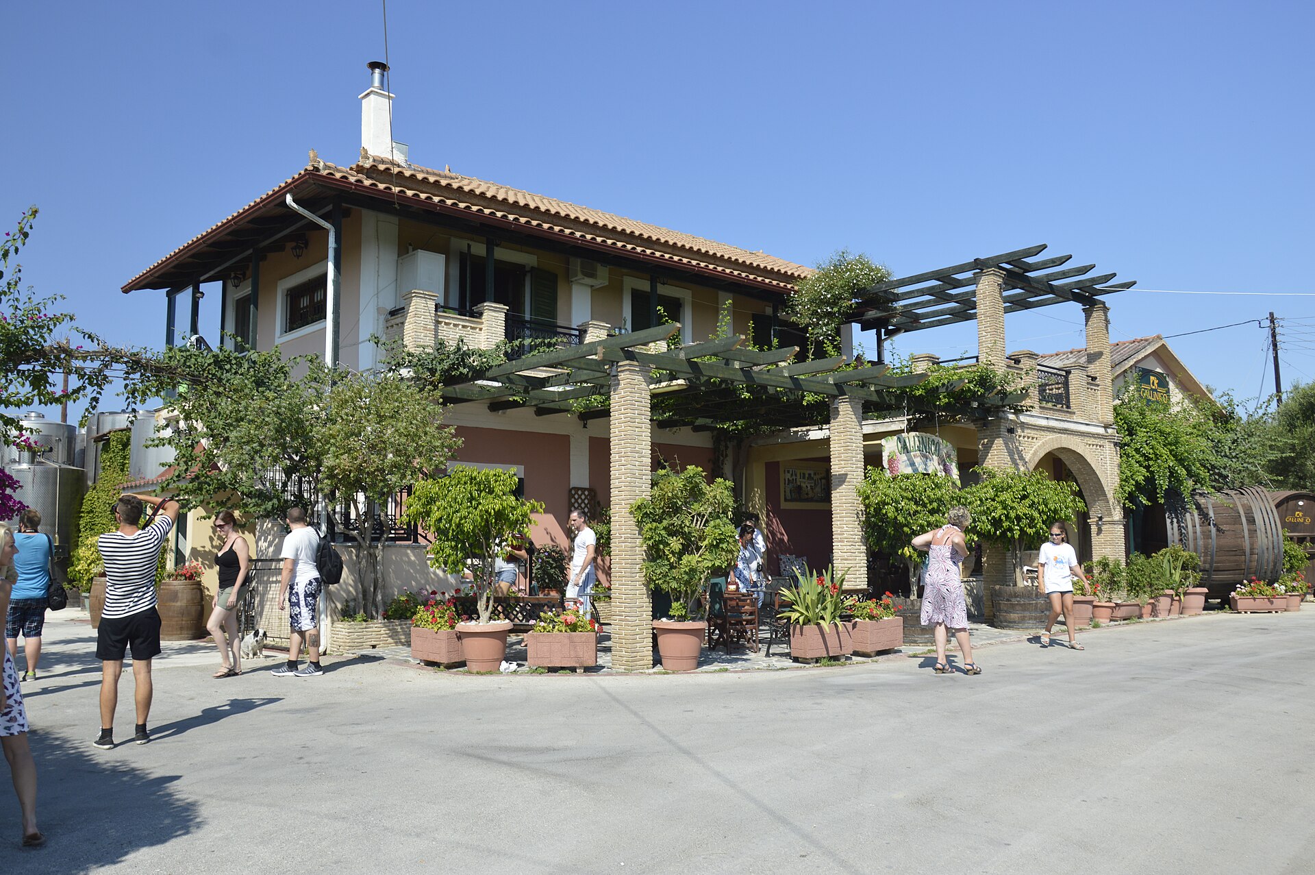 Callinico winery