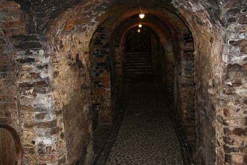 Cantina del Glicine