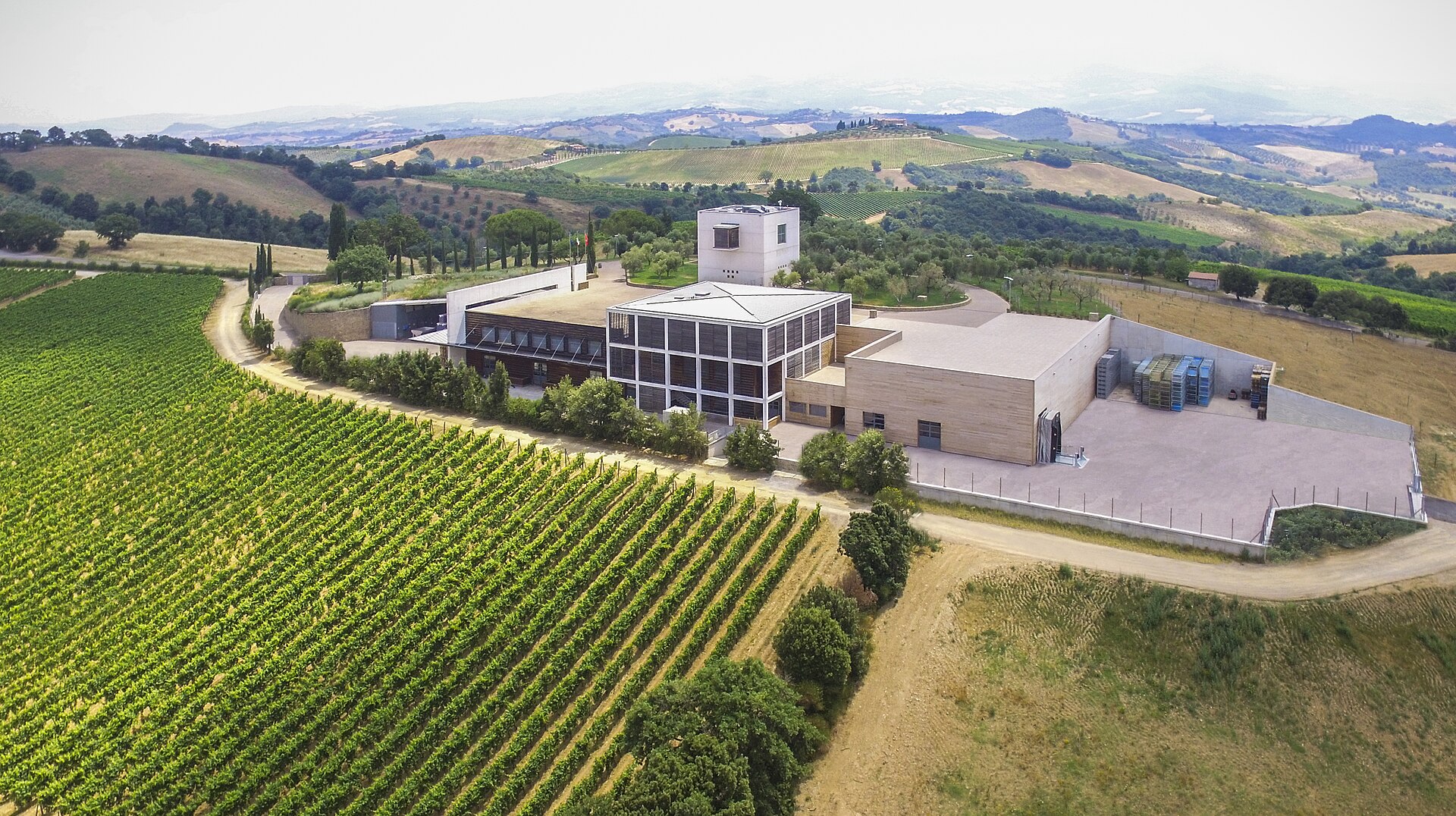 Cantina di Collemassari