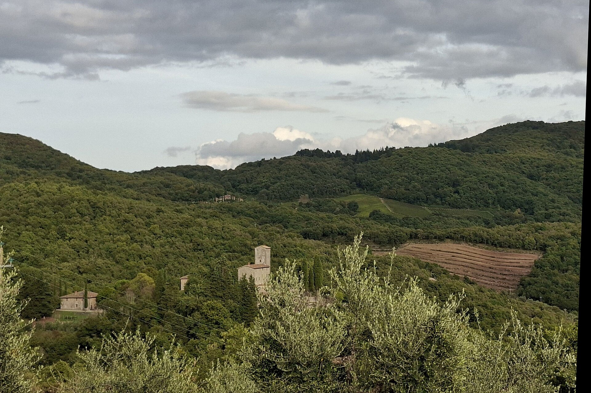 Castello di Albola