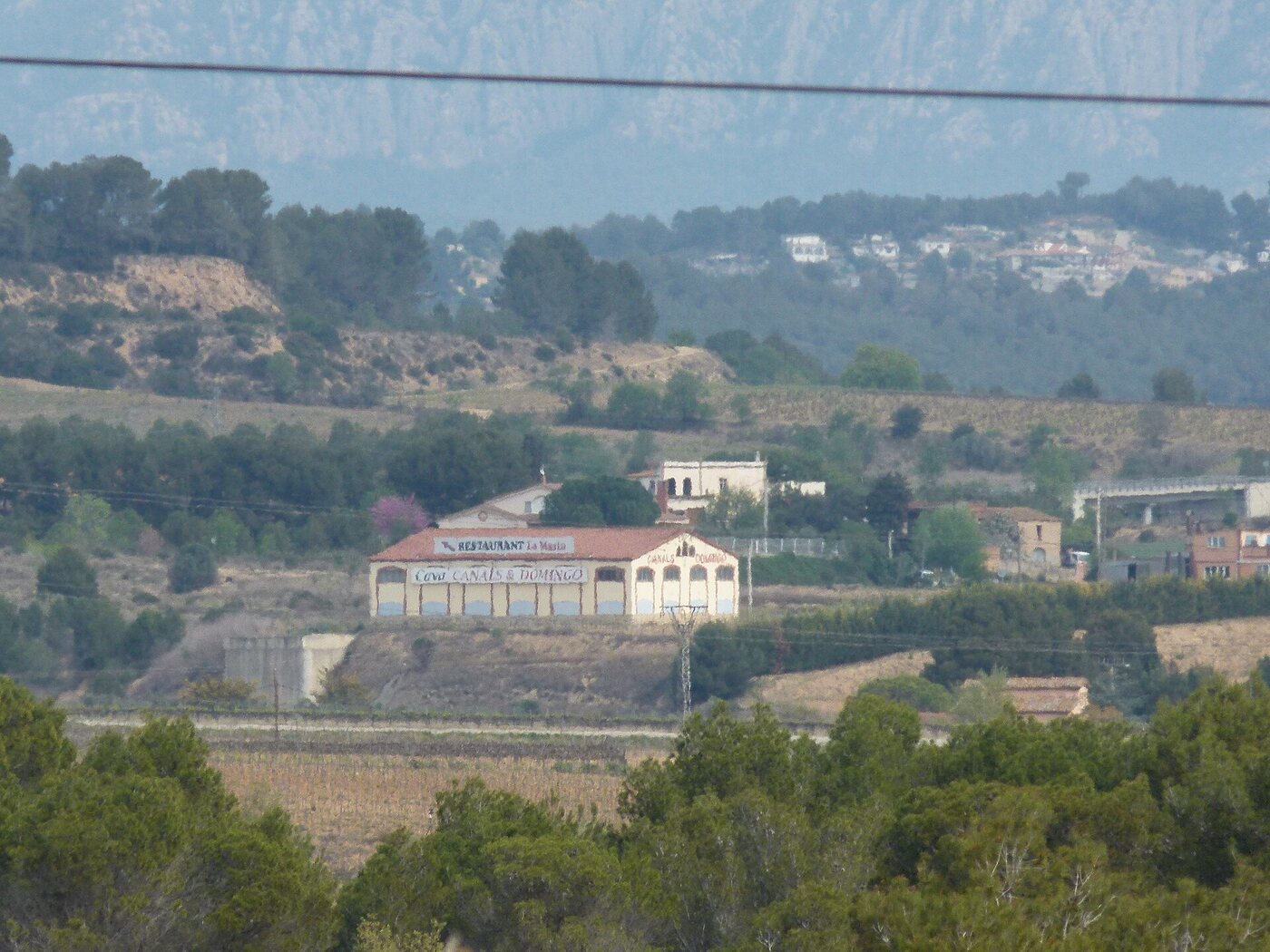 Cava Canals Domingo