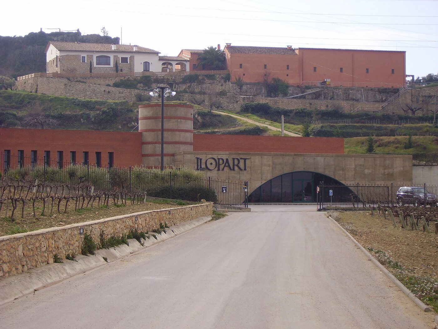 Caves Llopard