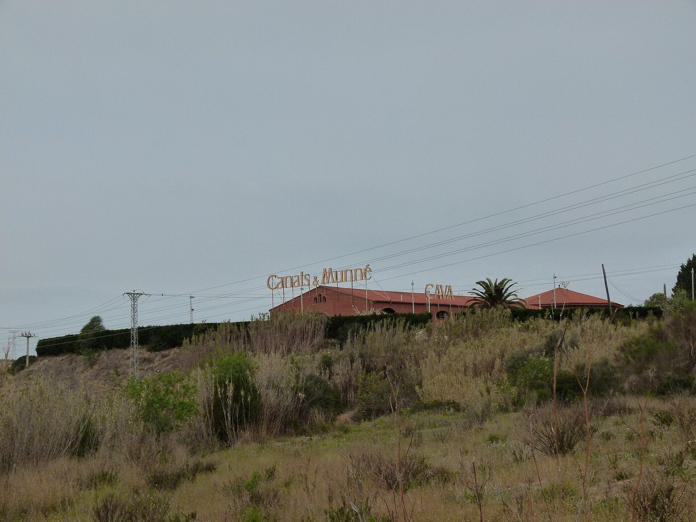 Caves Pere Ventura
