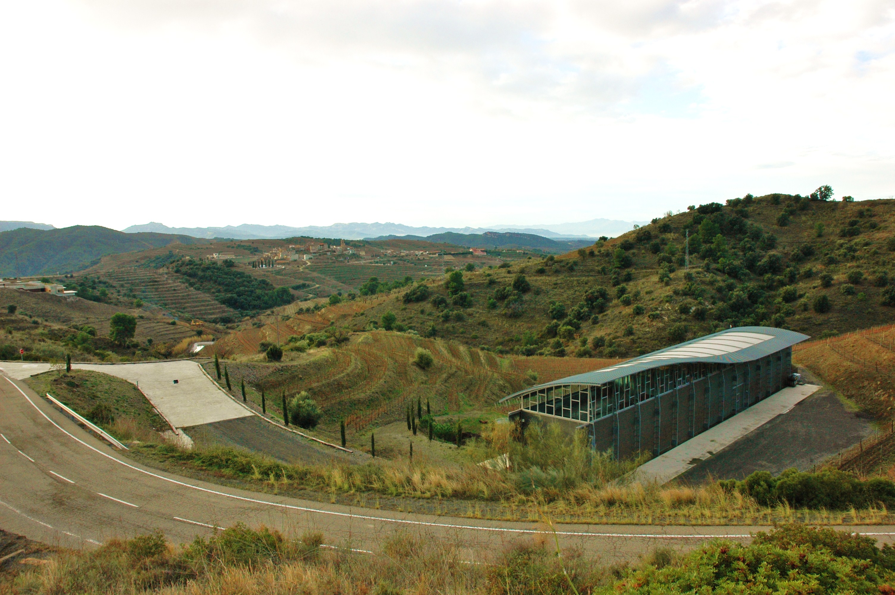 Celler Álvaro Palacios