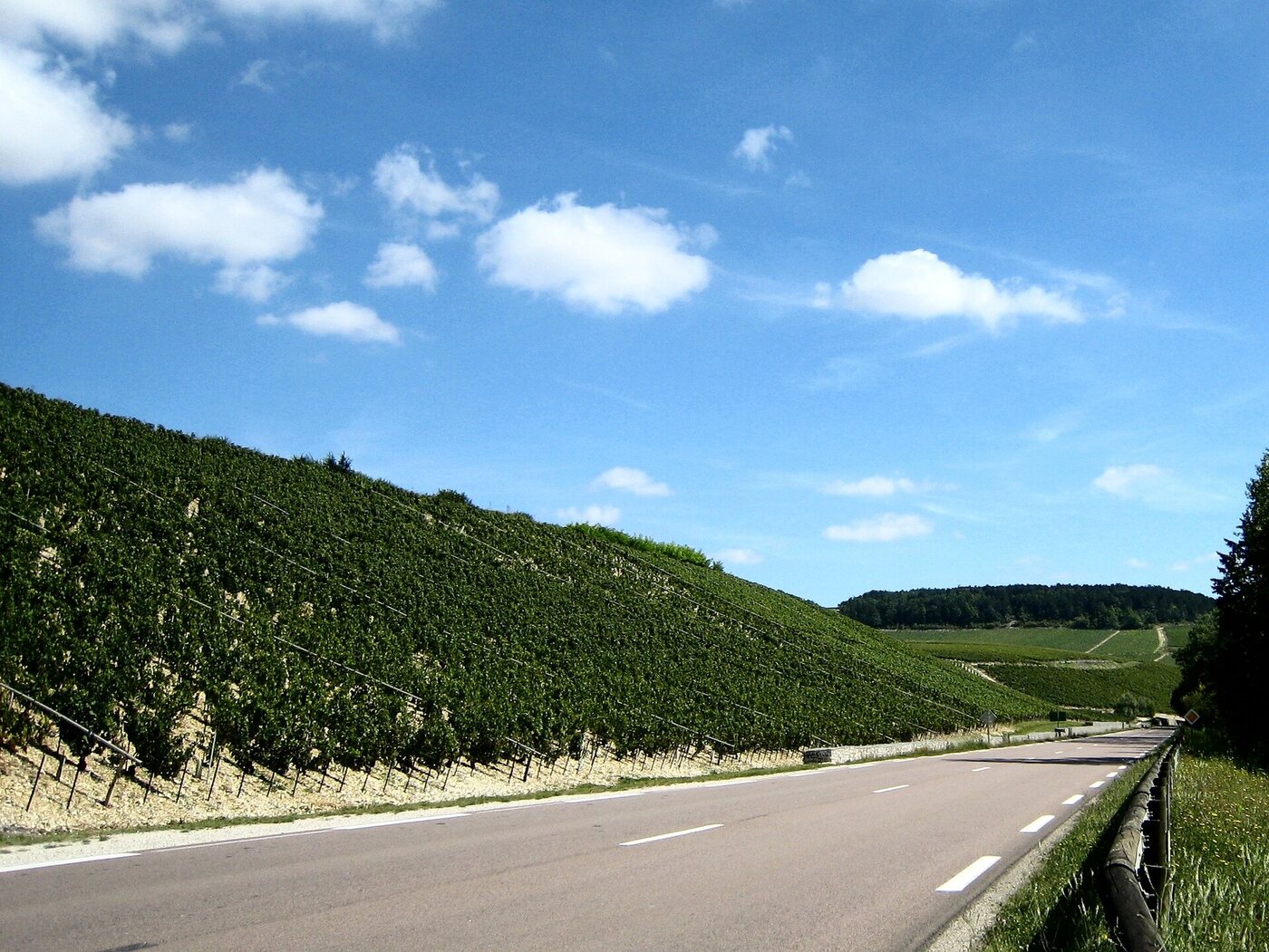 Chablis grand cru
