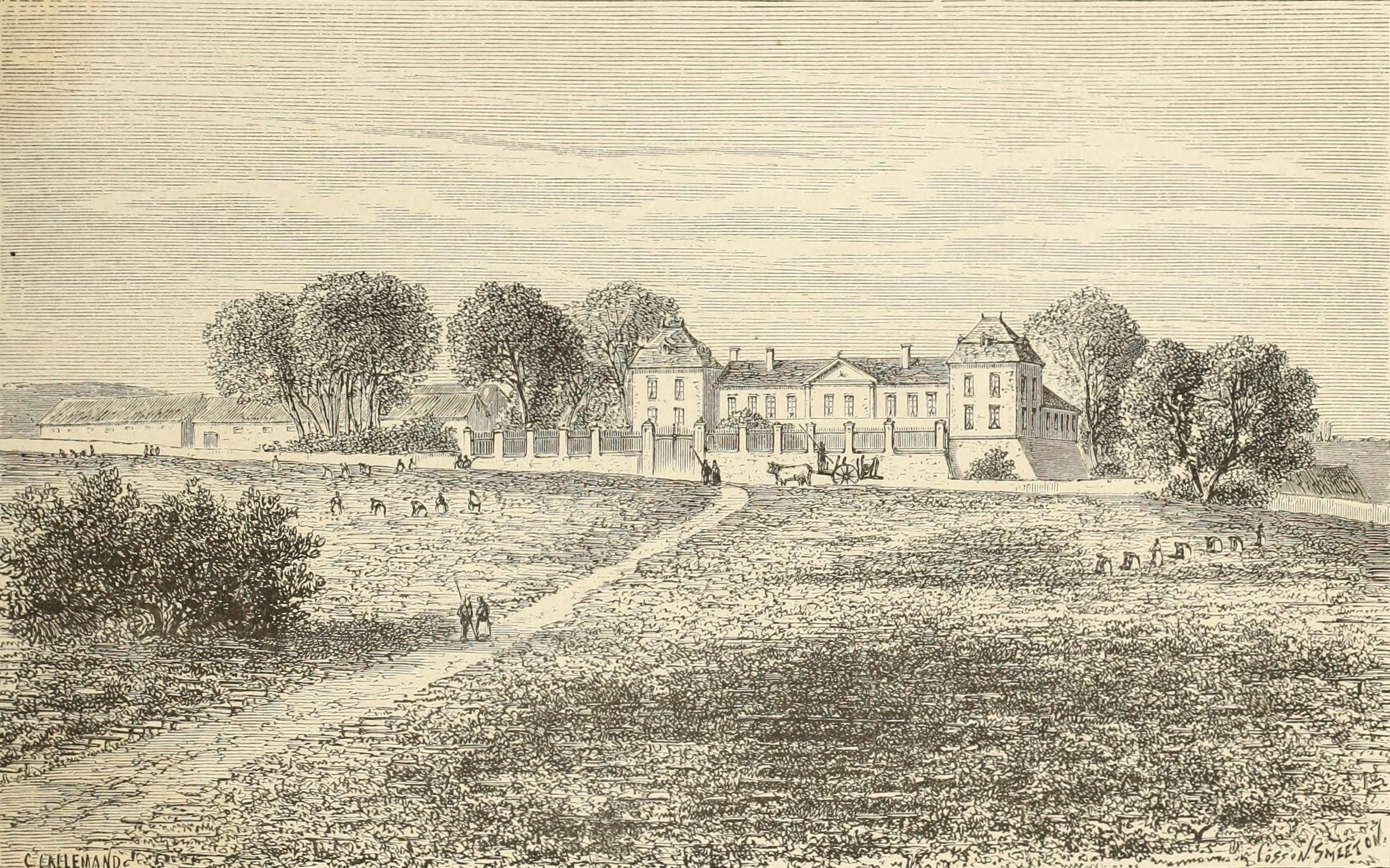 Château Calon Ségur