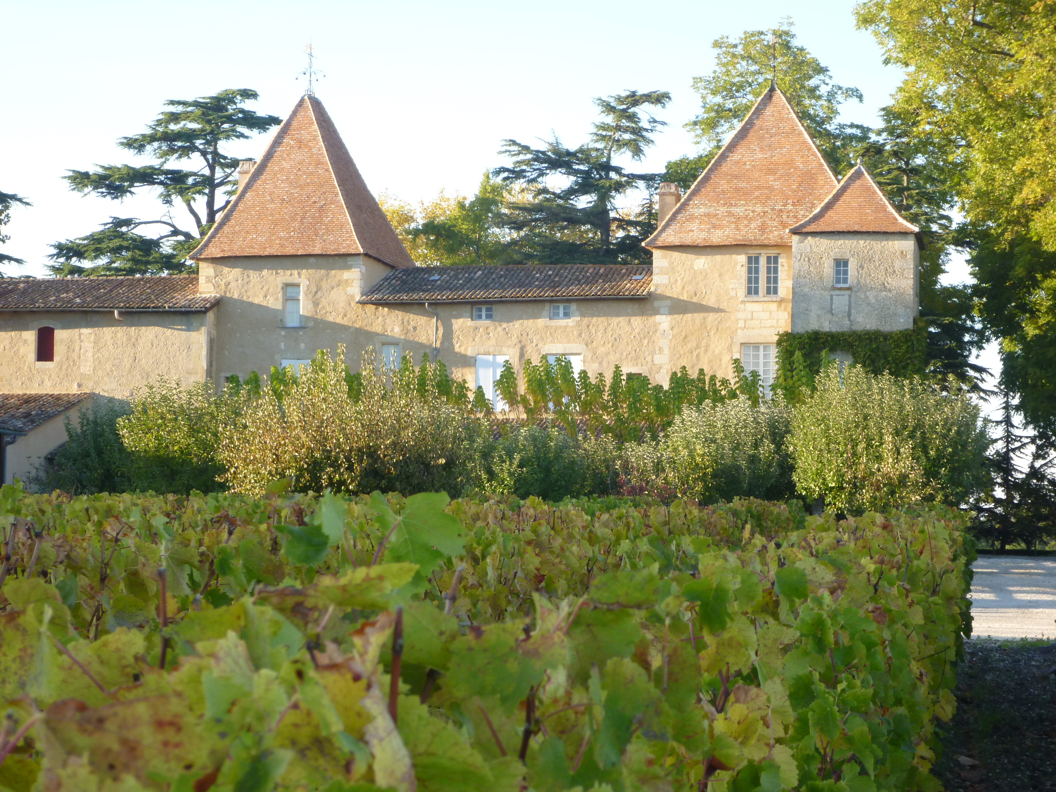 Château Carbonnieux