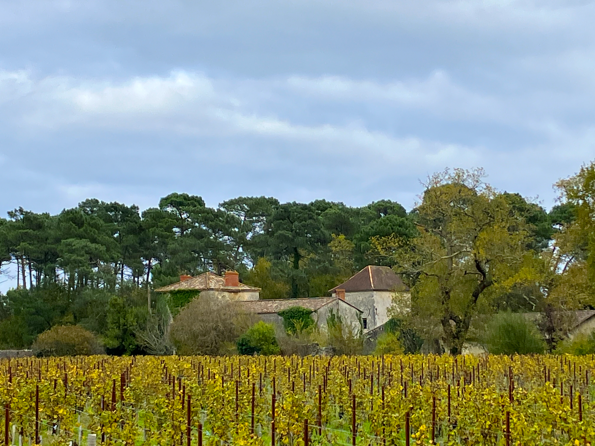 Château de Rochemorin