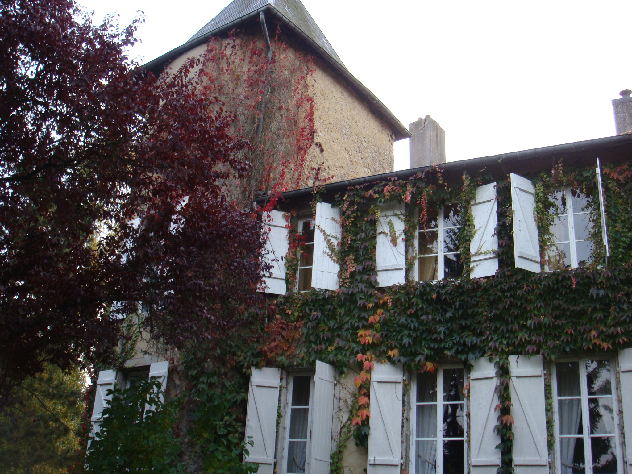 Château La Bruyère