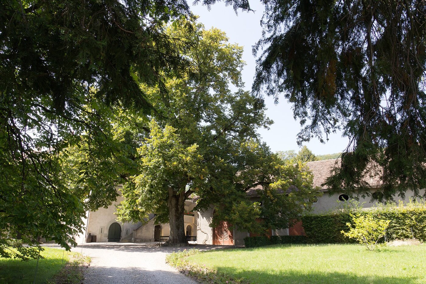 Château with Vineyard Outbuildings