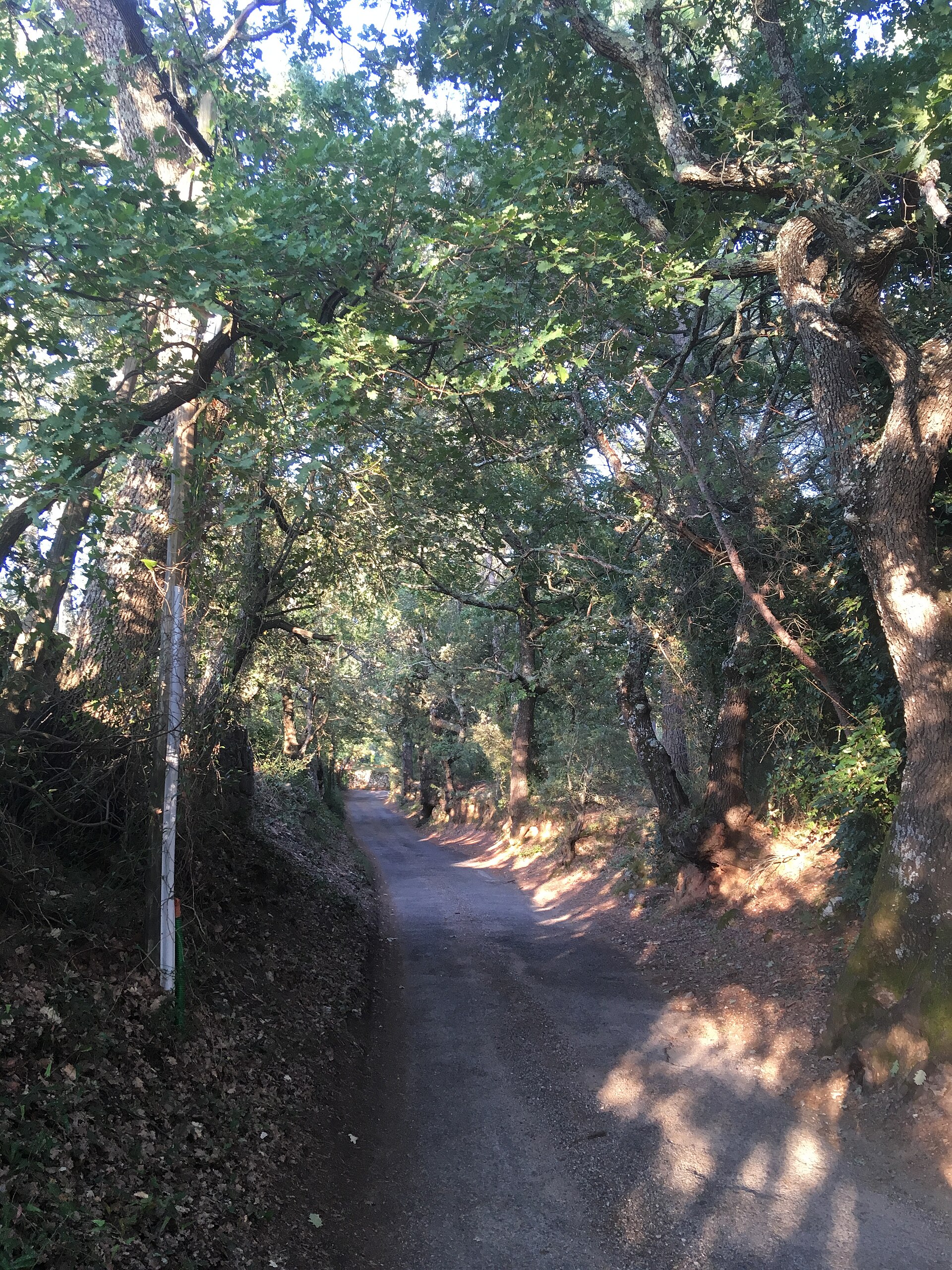 Domaine de Valcolombe