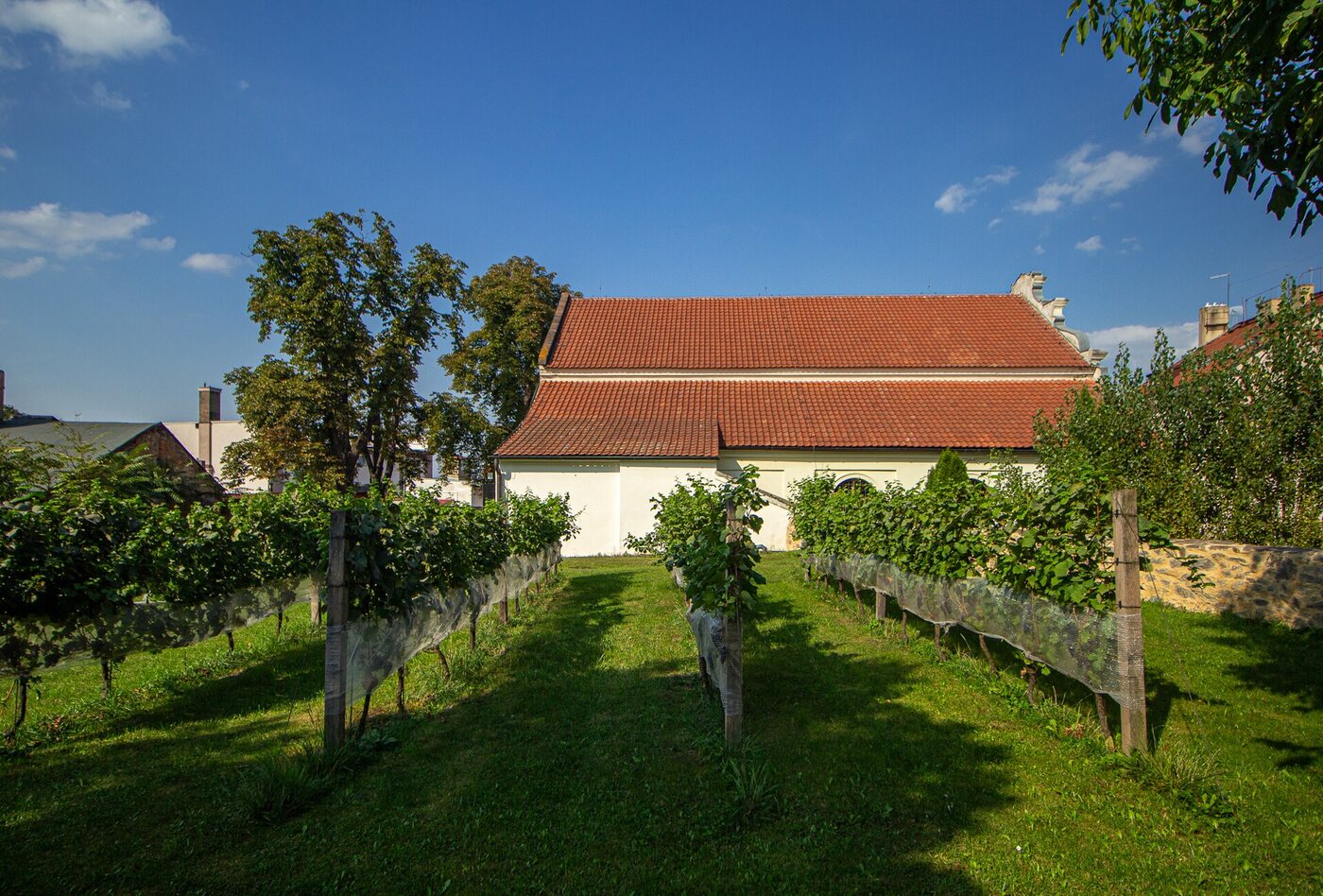 Enotéka