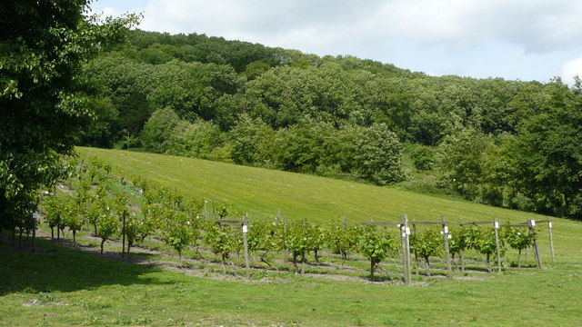 Godstone Vineyard