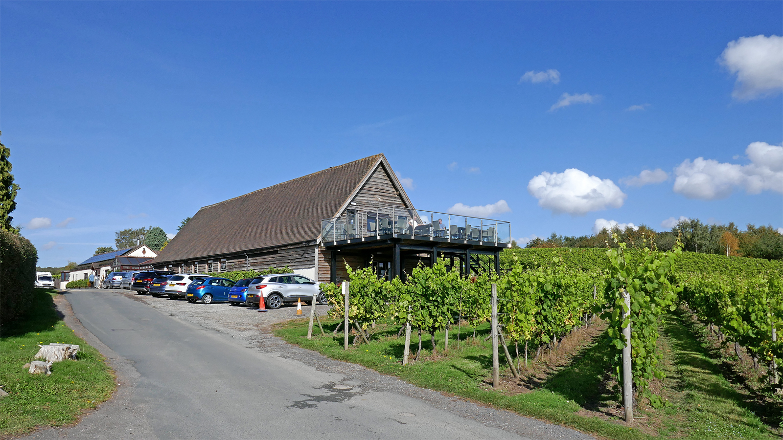 Halfpenny Green Vineyard