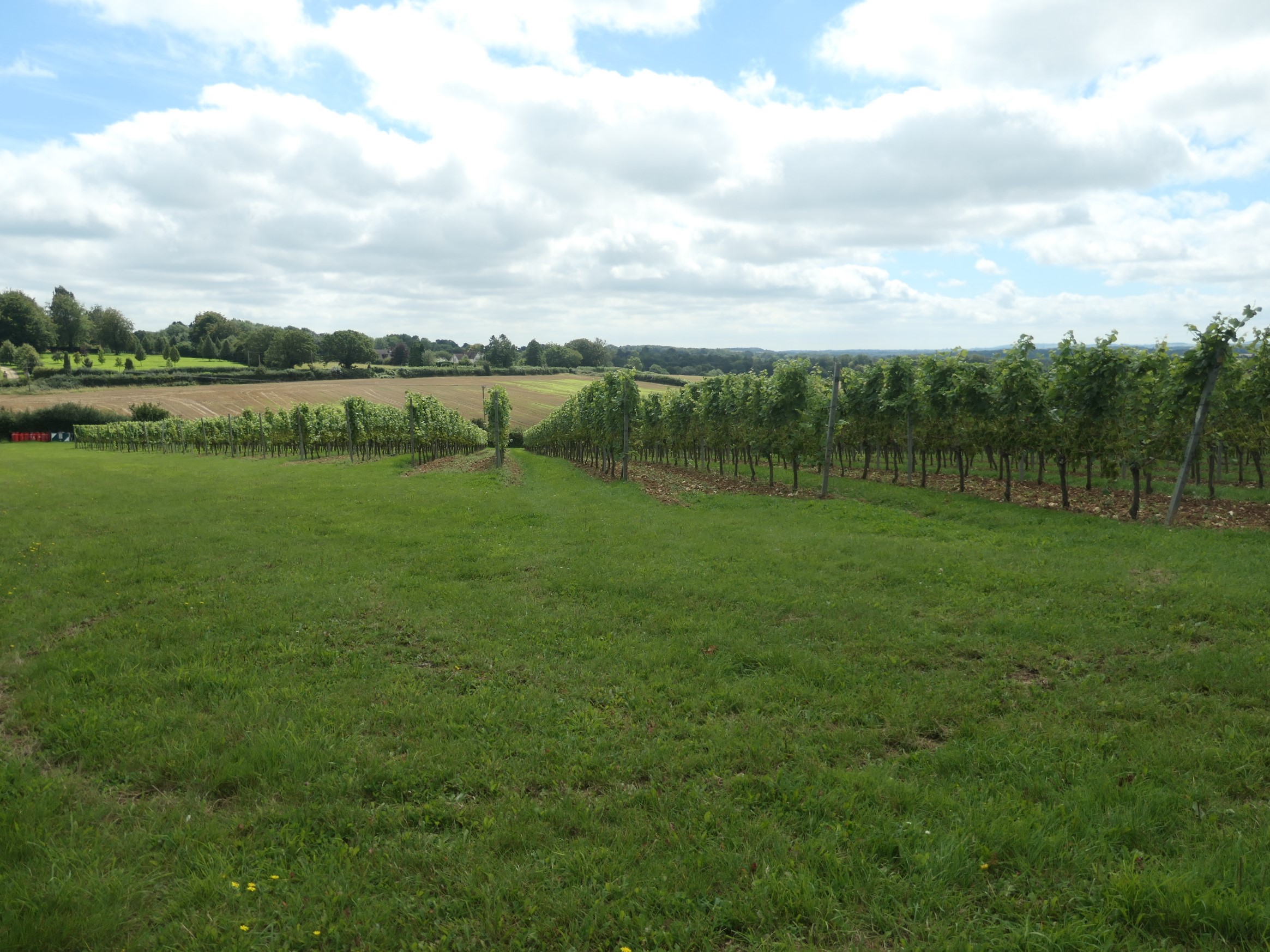 Hattingley Valley