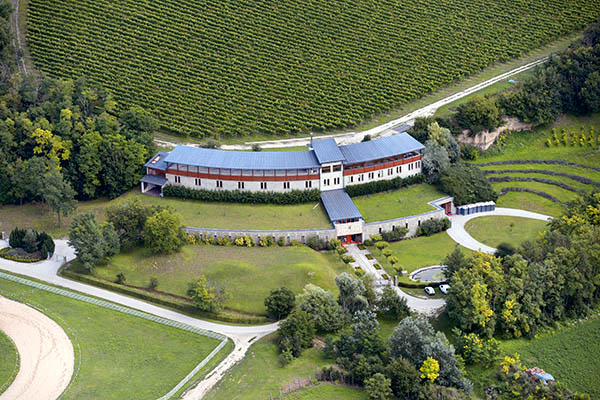 Ikon Borászat
