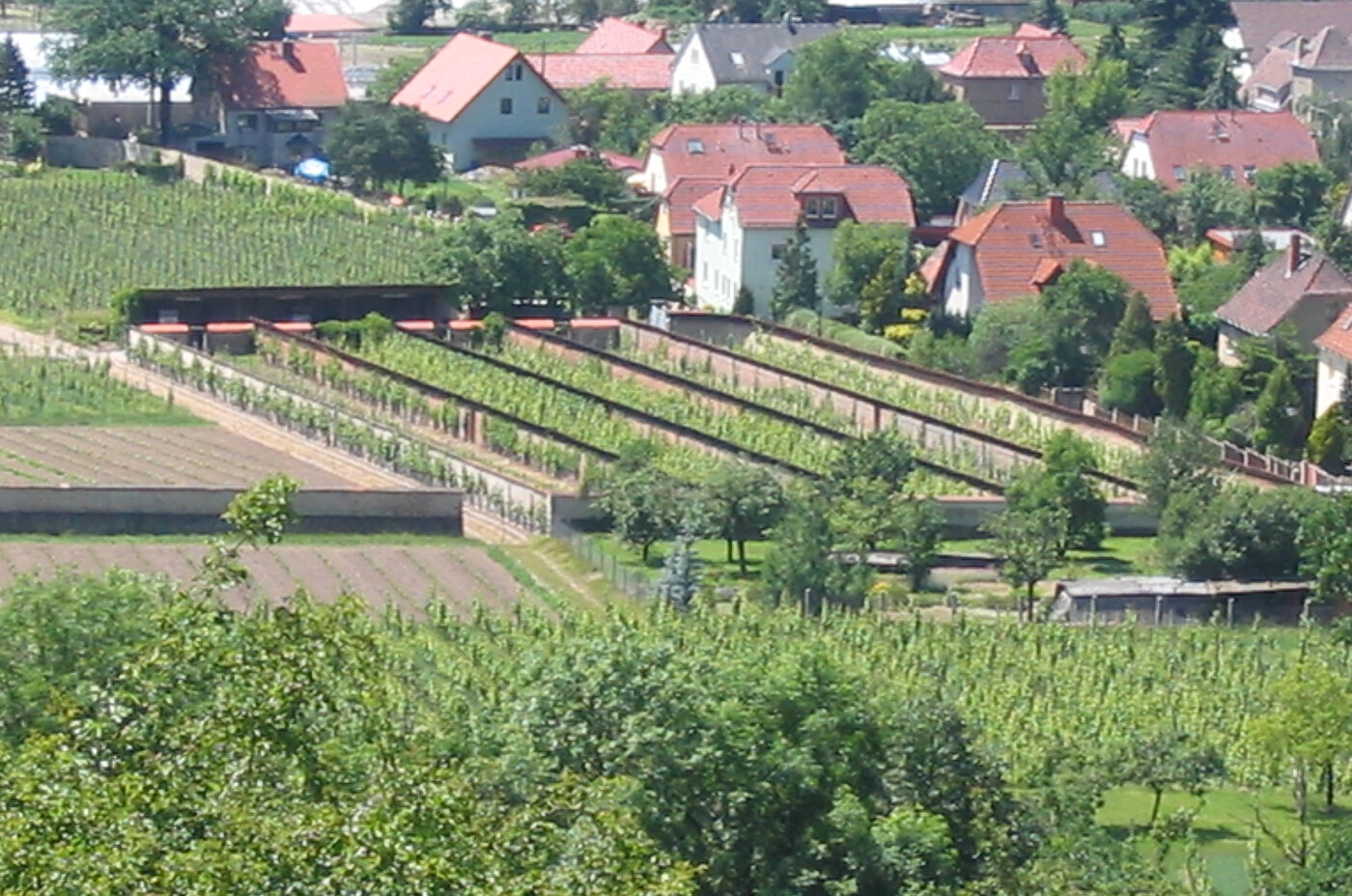 Kynast