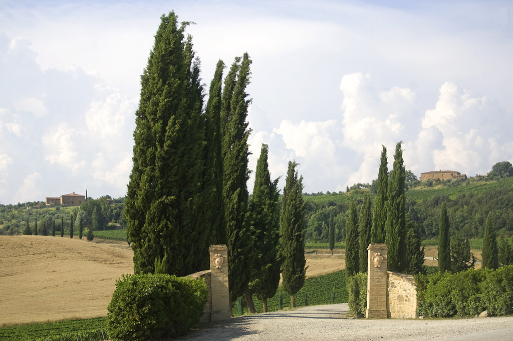 Marchesi Frescobaldi