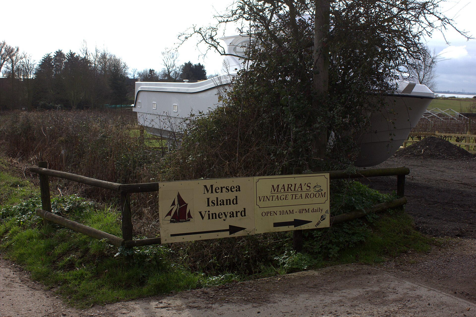 Mersea Island Vineyard