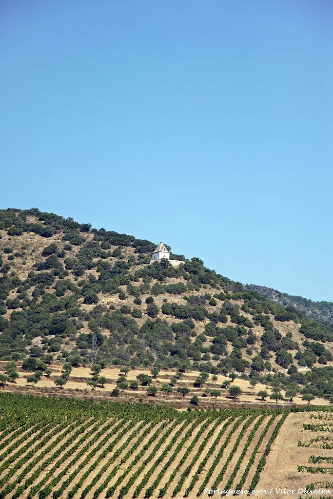 Quinta do Vale Meão