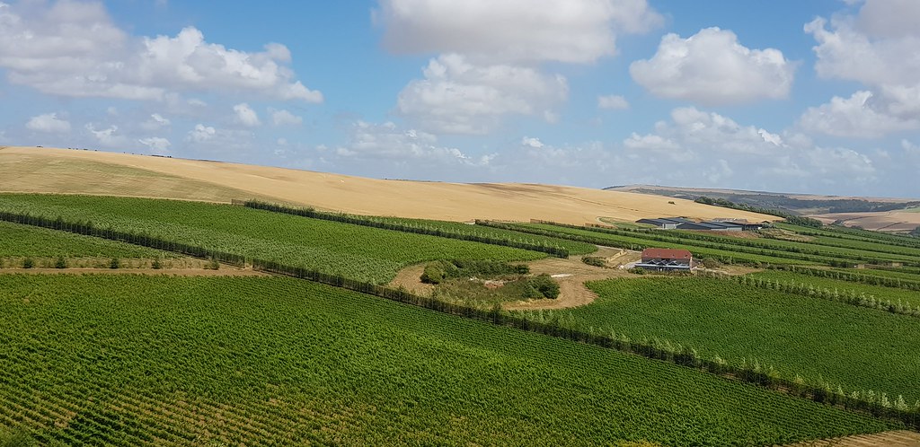 Rathfinny Wine Estate