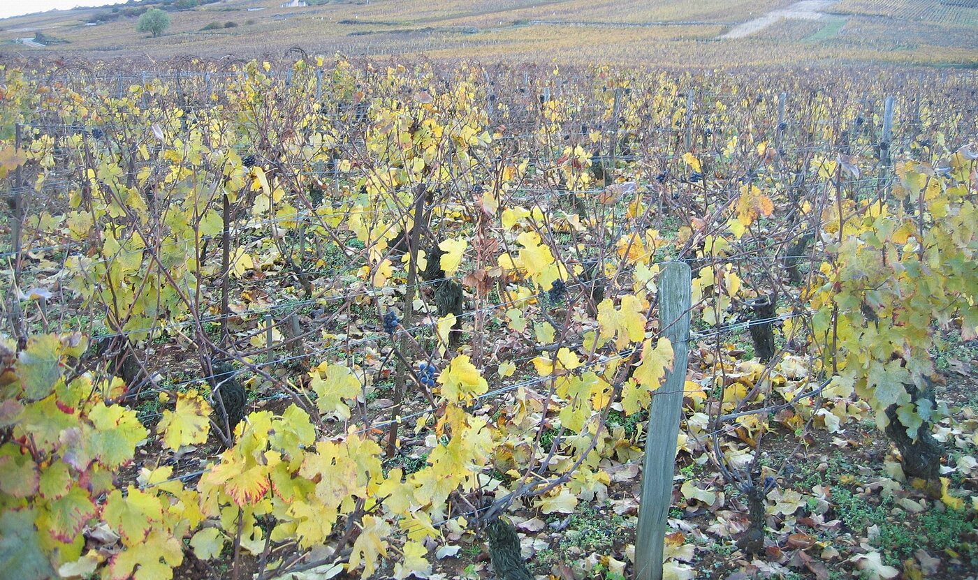 Richebourg