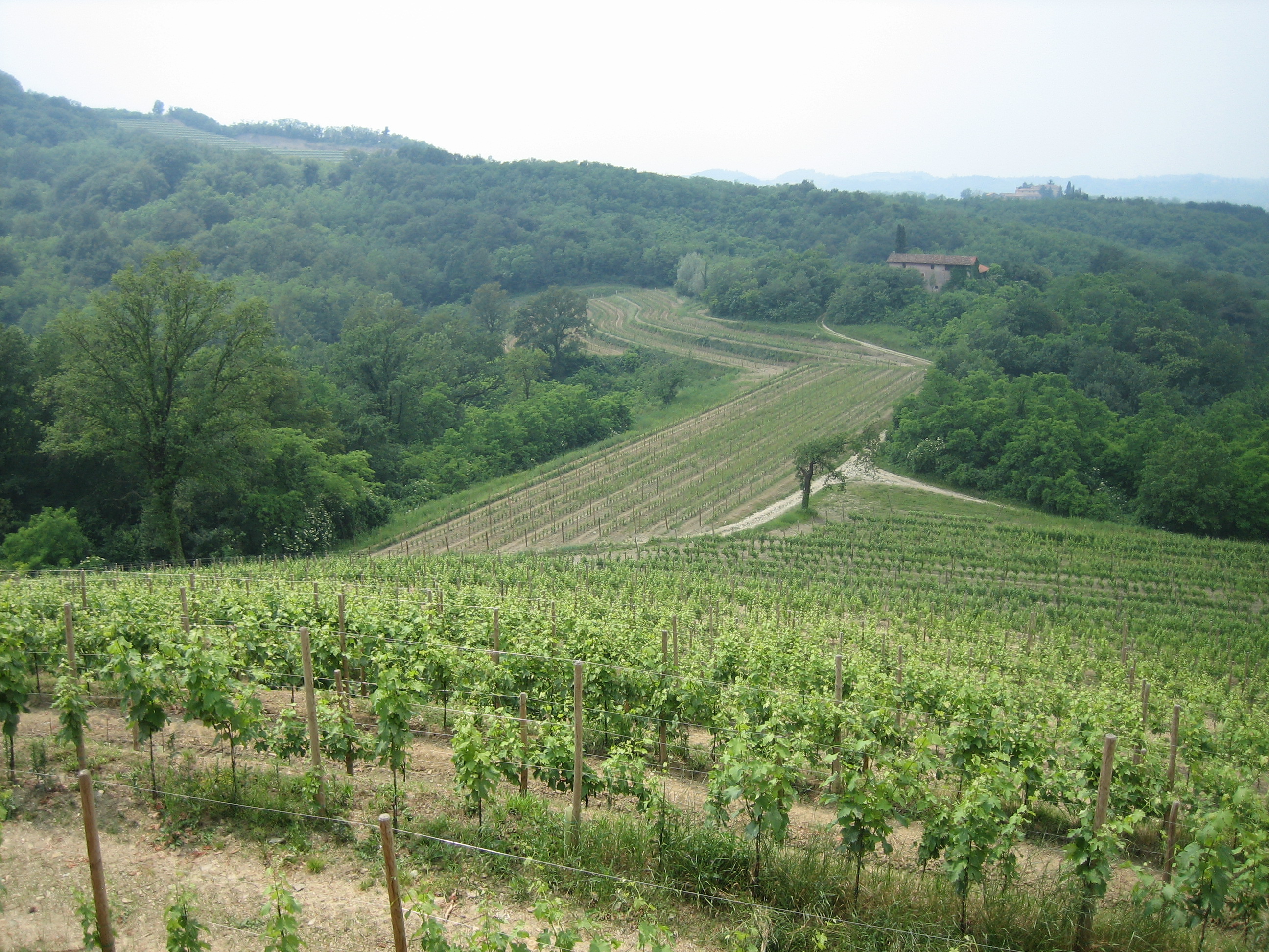Rocca Bernarda