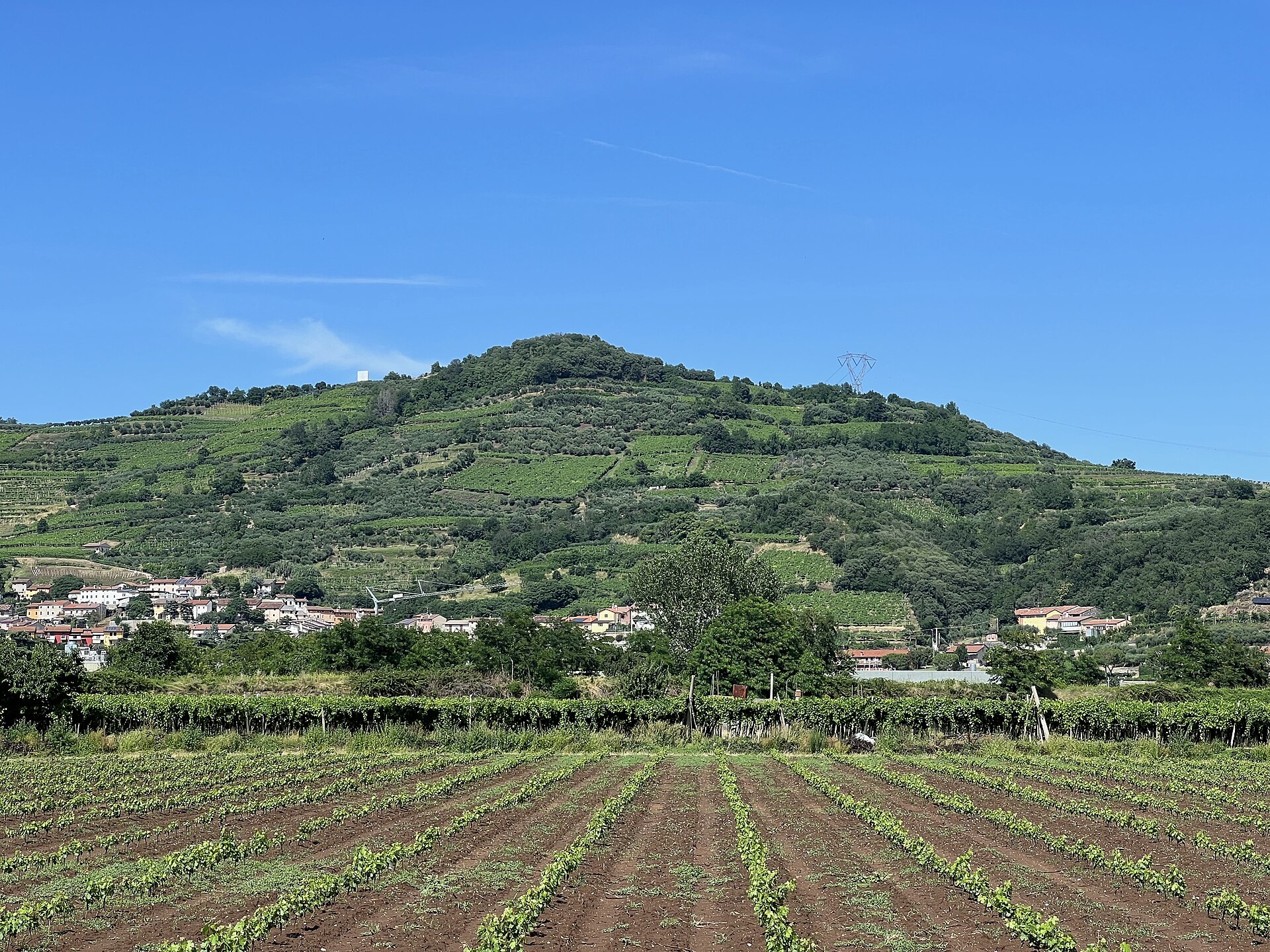 Sandro De Bruno - Azienda Agricola
