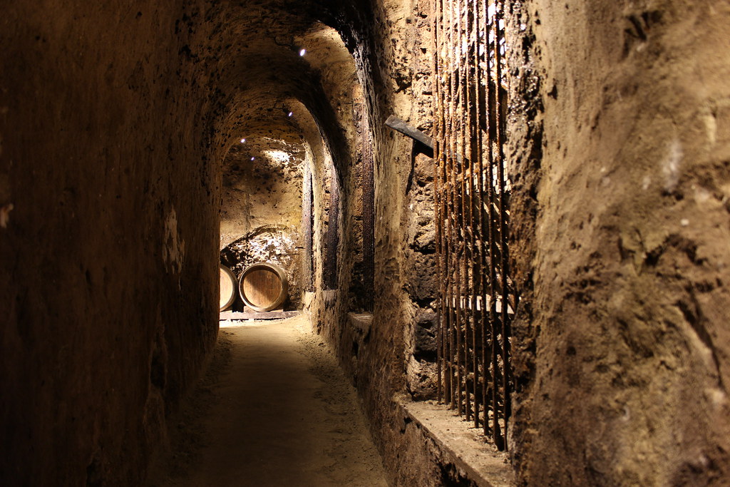 Tokaj Macik Winery