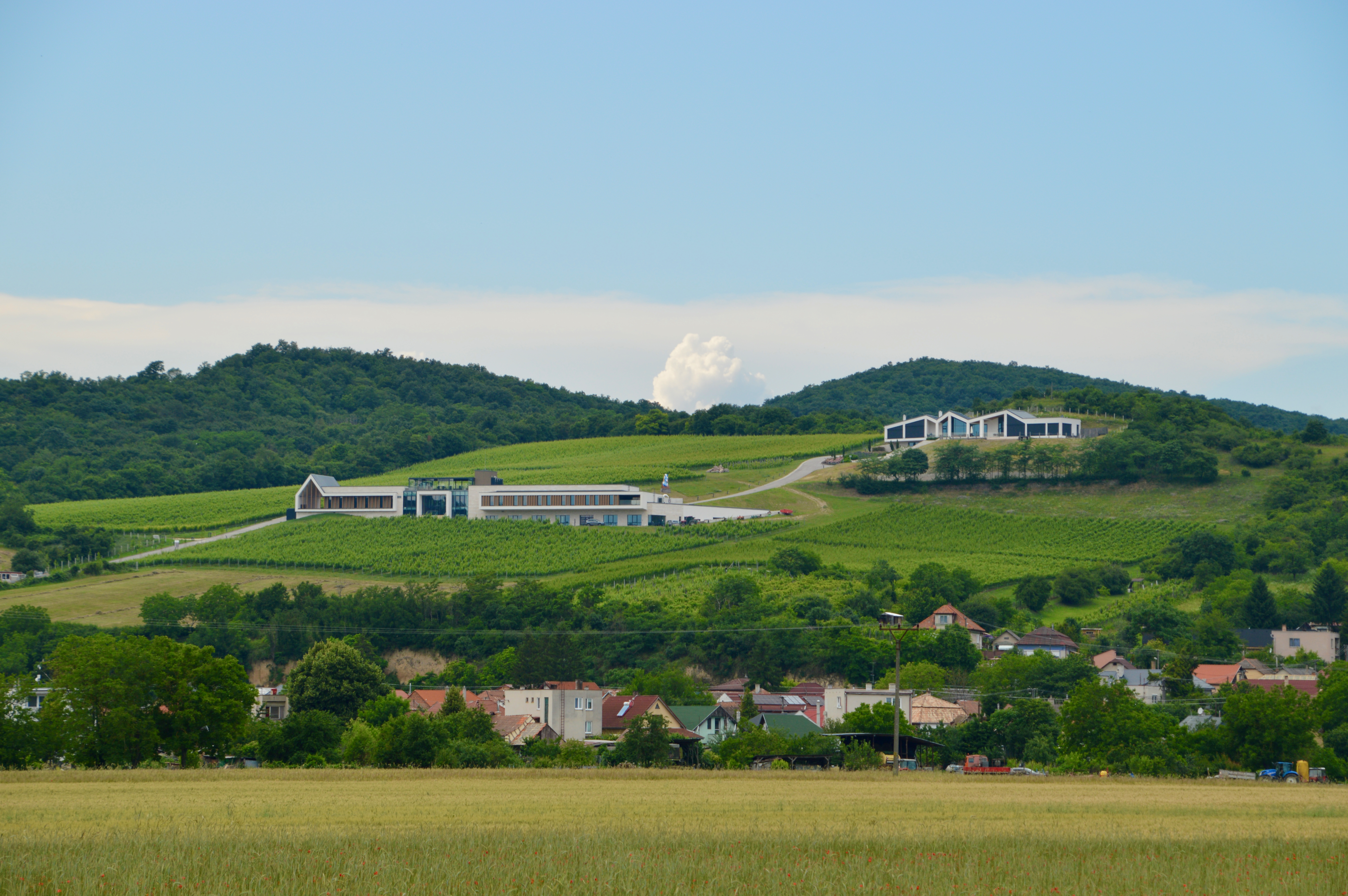 Világi Winery