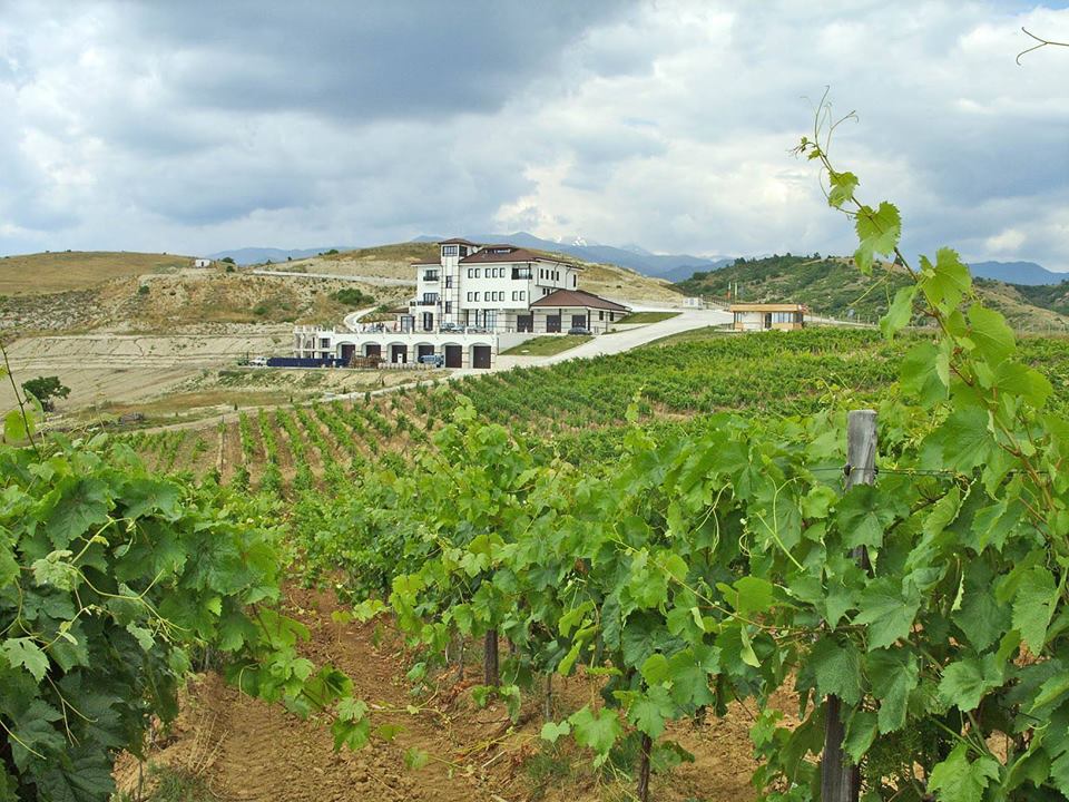 Villa Melnik