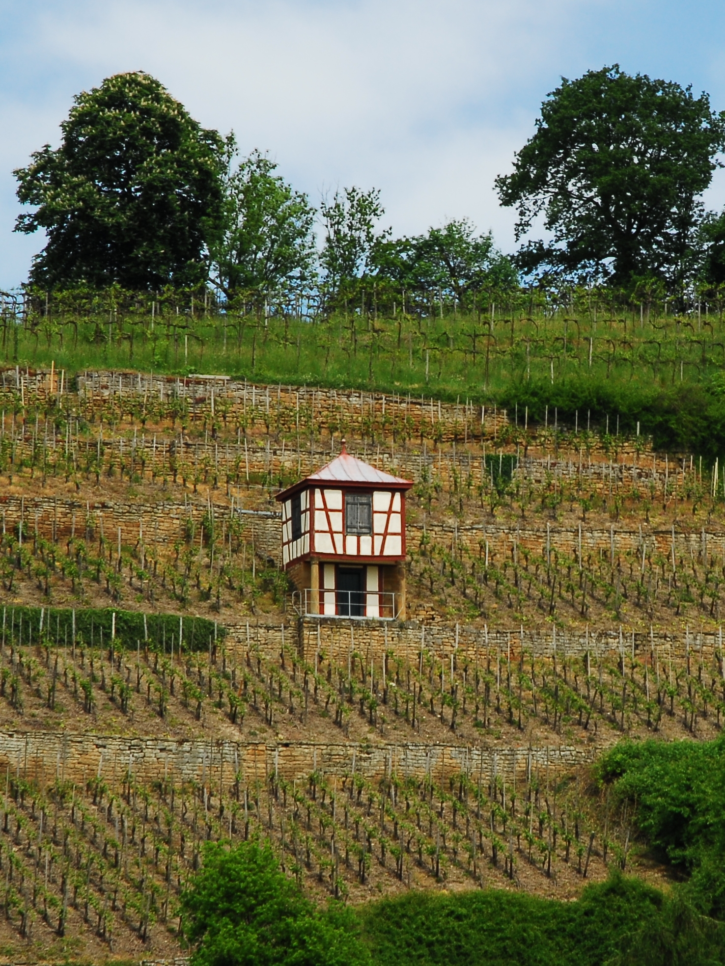 Weingut Disibodenberg