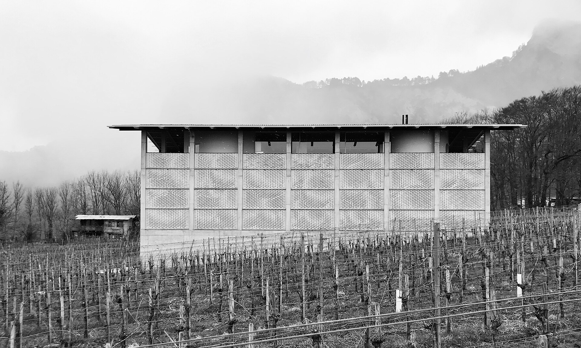 Weingut Gantenbein