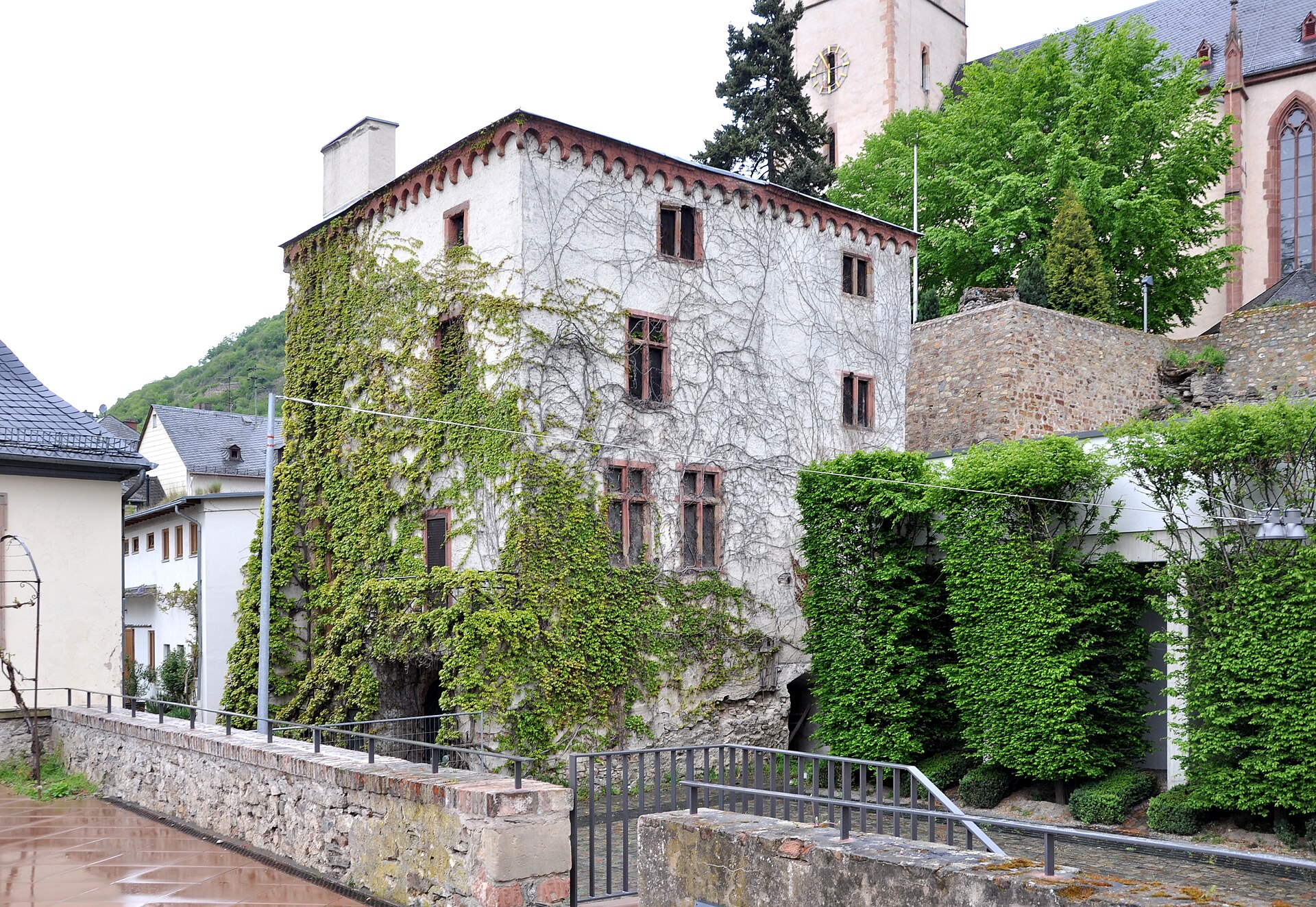 Weingut Graf von Kanitz