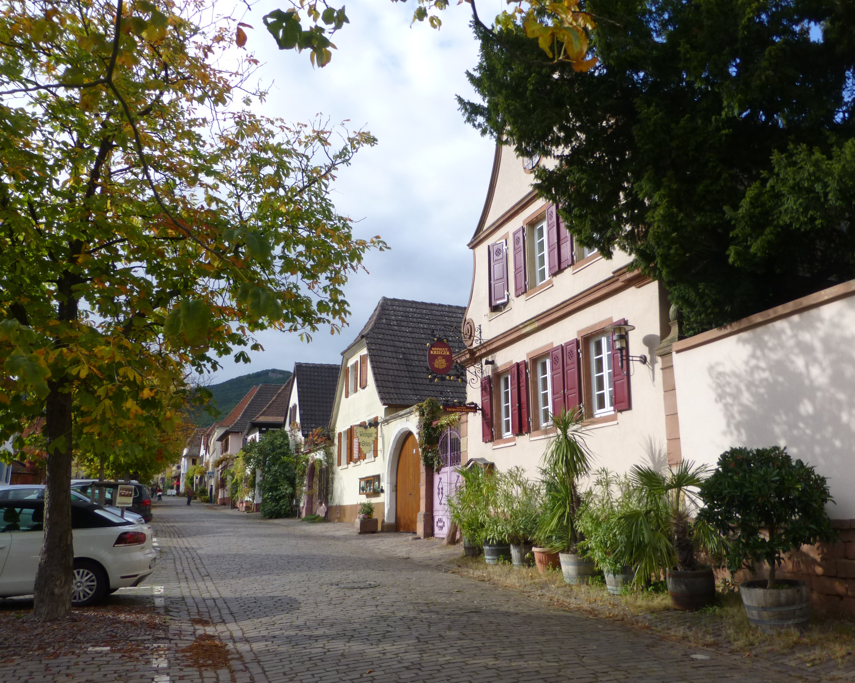 Weingut Heinrich Krieger