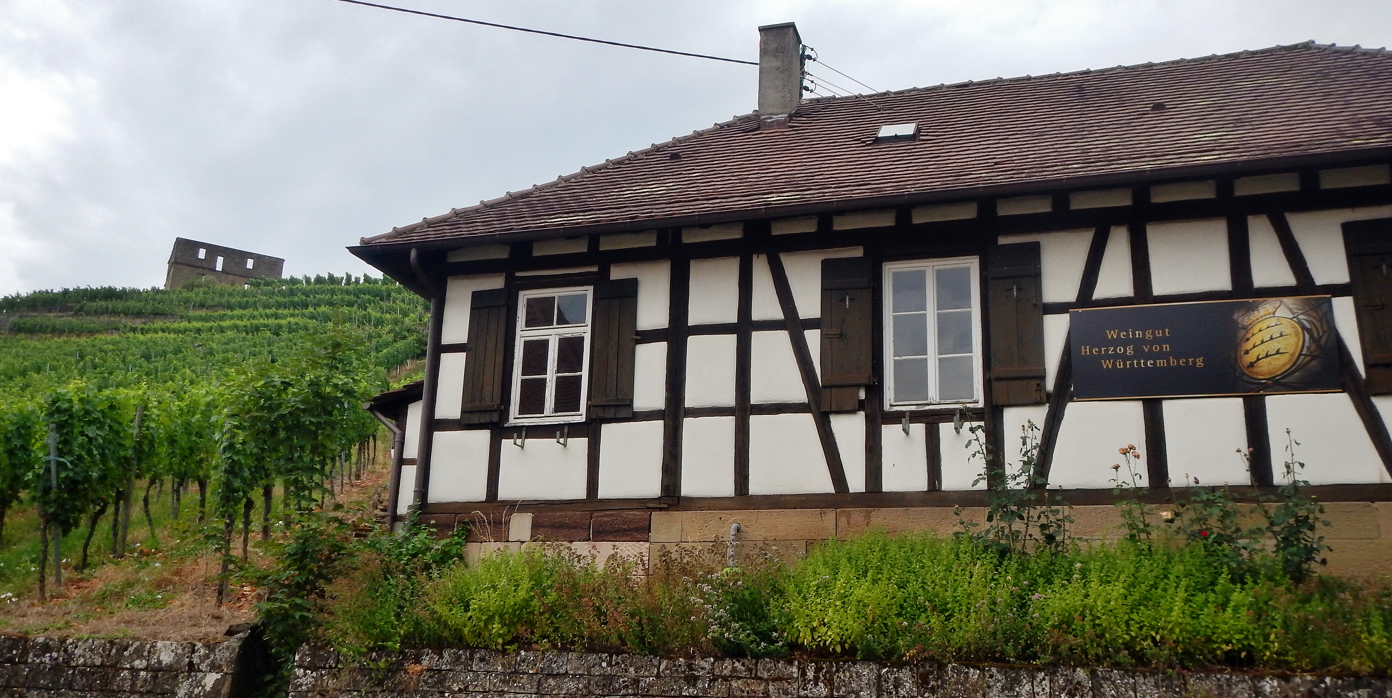 Weingut Herzog von Württemberg