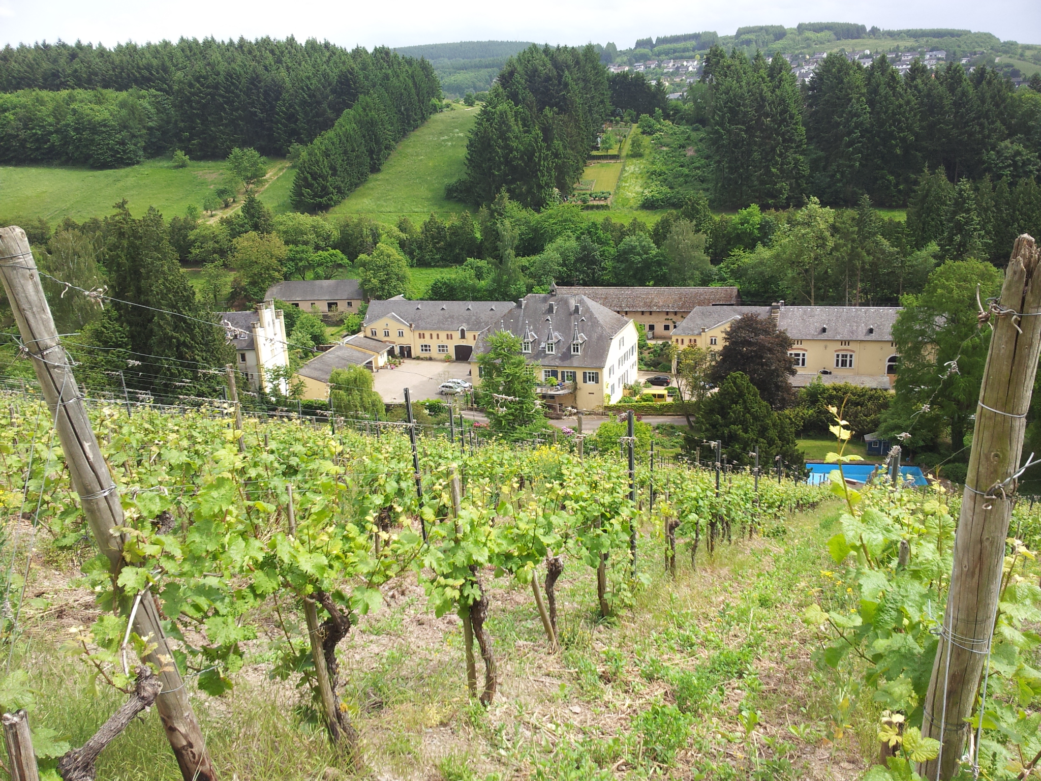Weingut Karthäuserhof