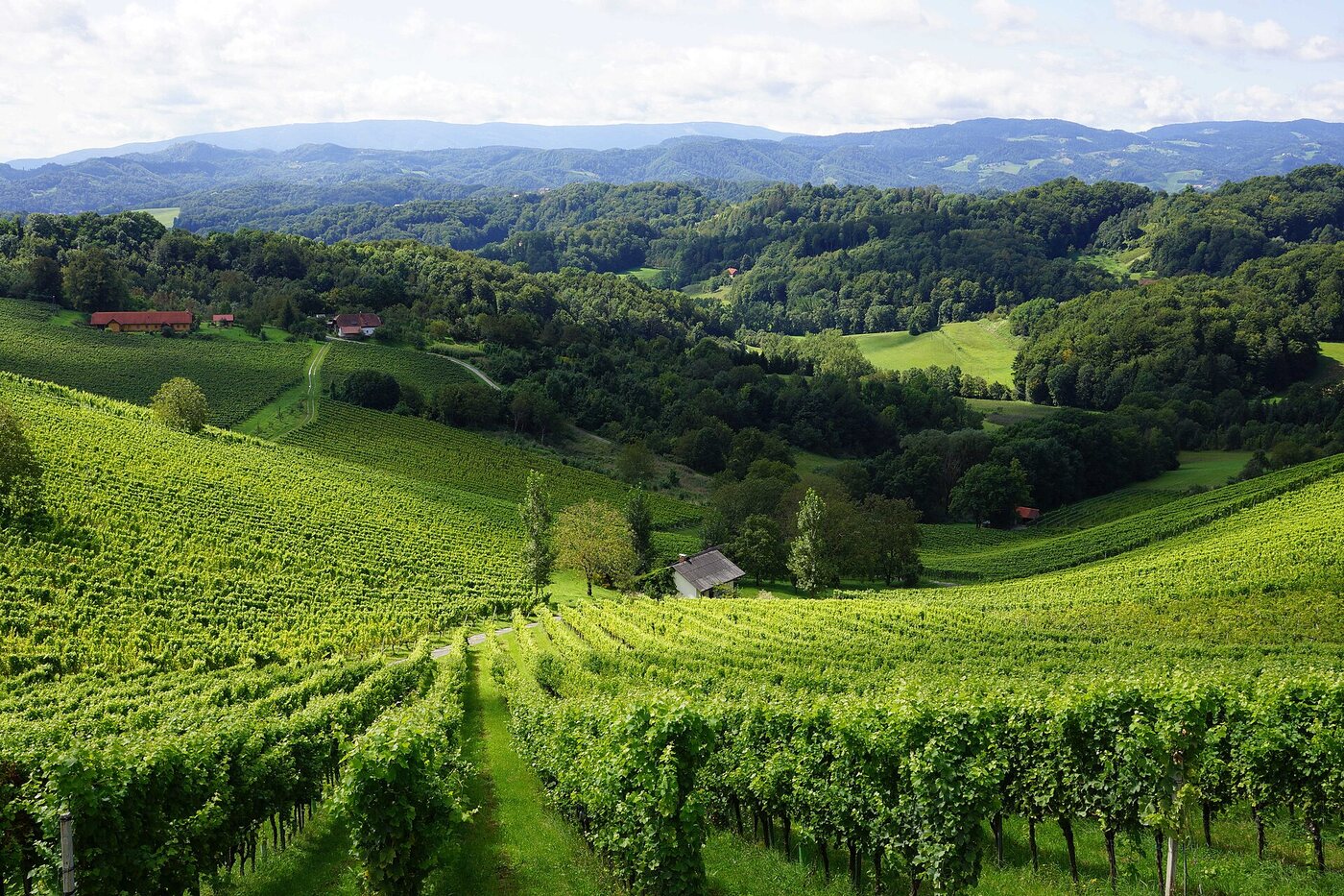 Weingut Manfred Tement