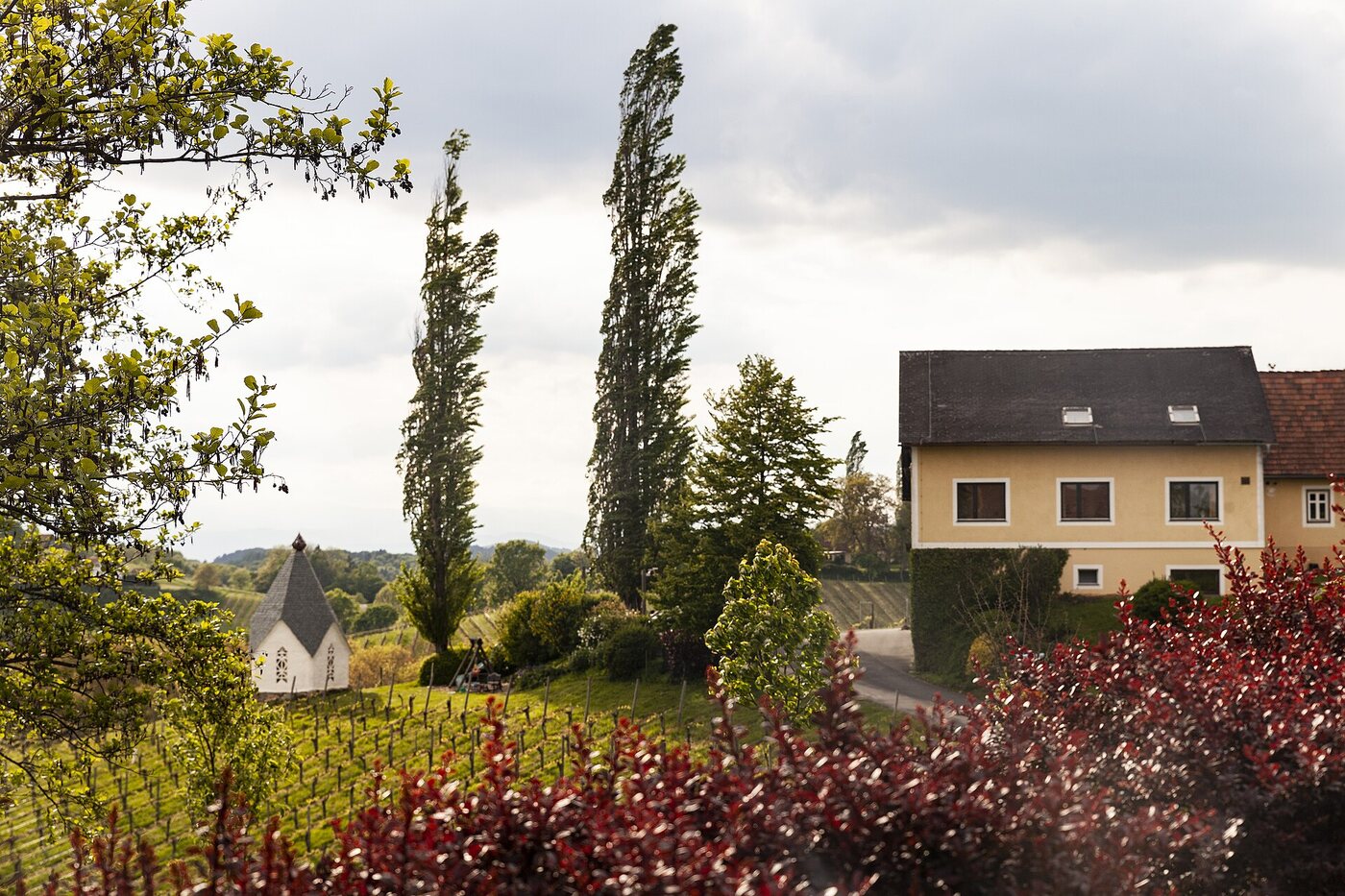 Weingut Muster.Gamlitz
