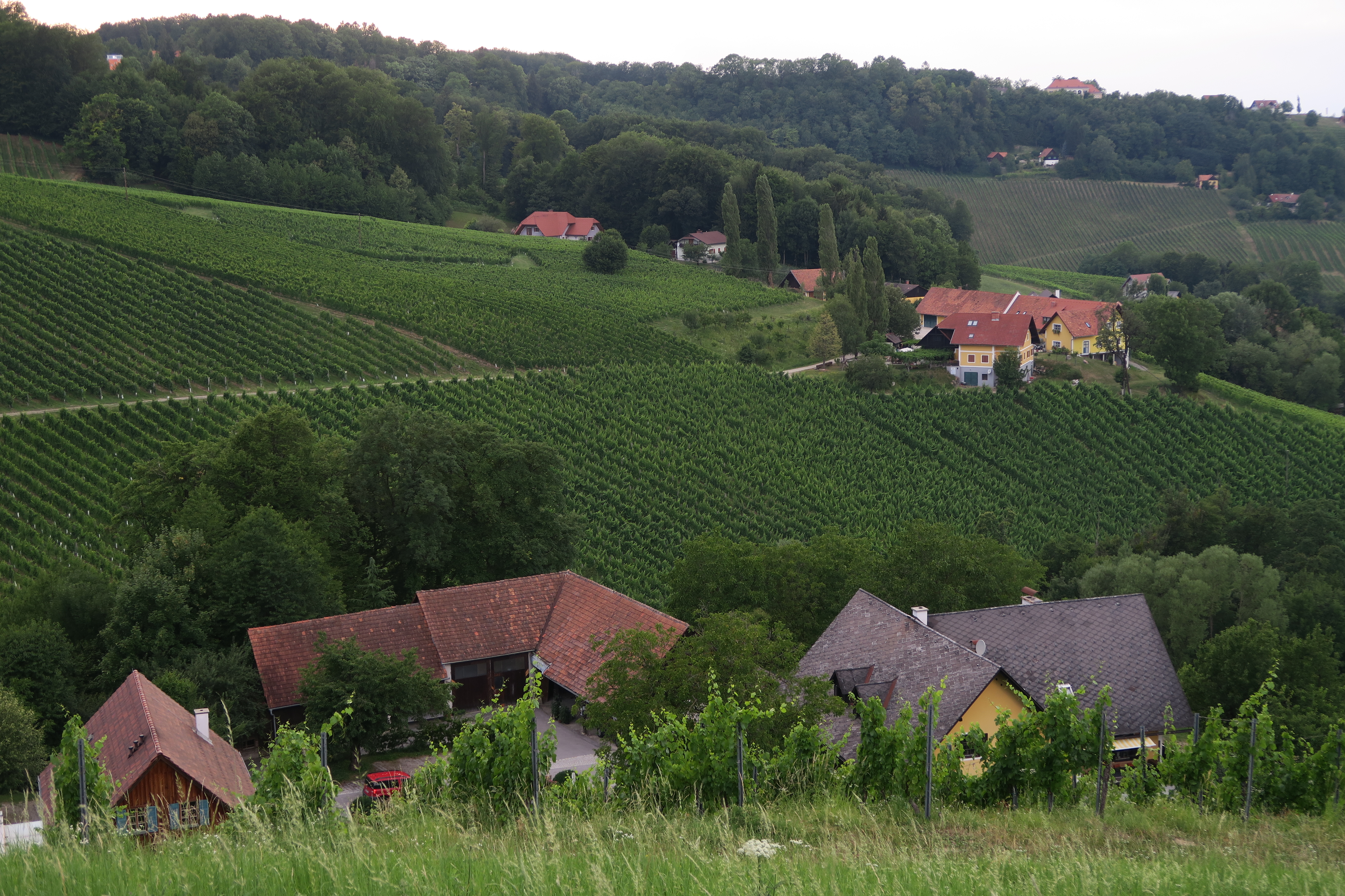 Weingut Polz