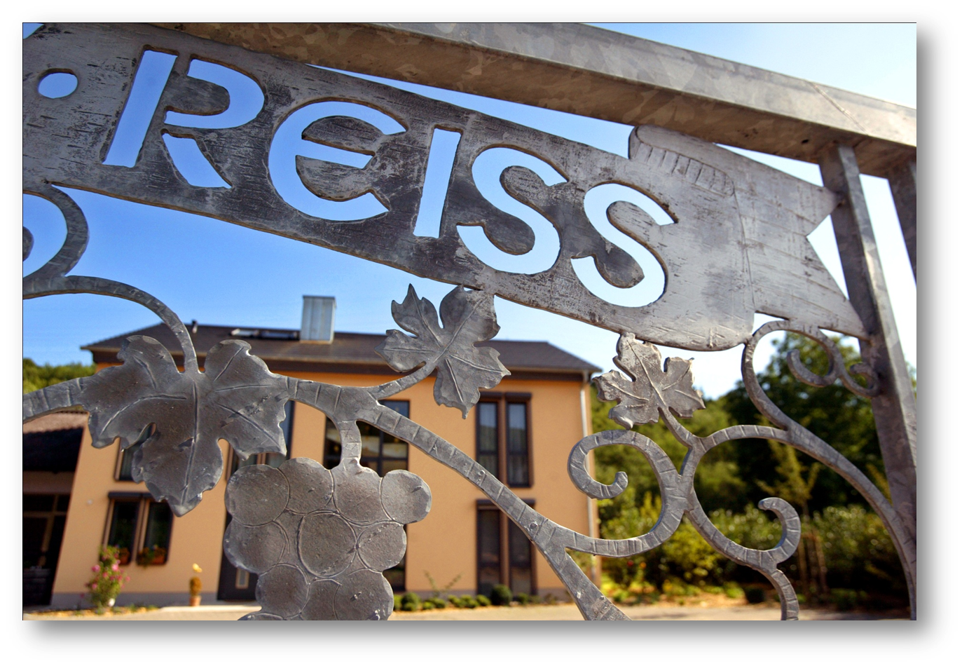 Weingut Reiss