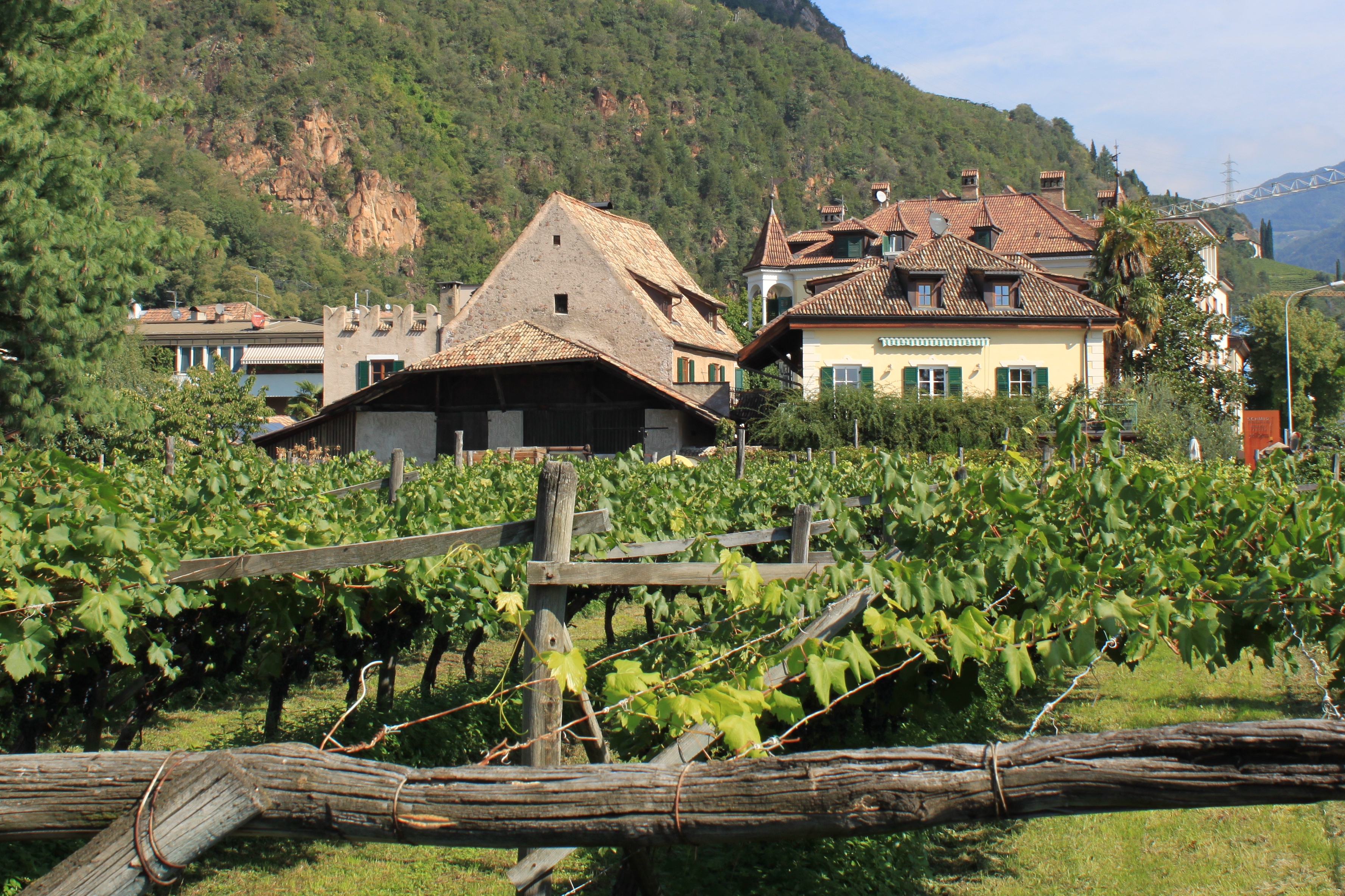 Weingut Schmid