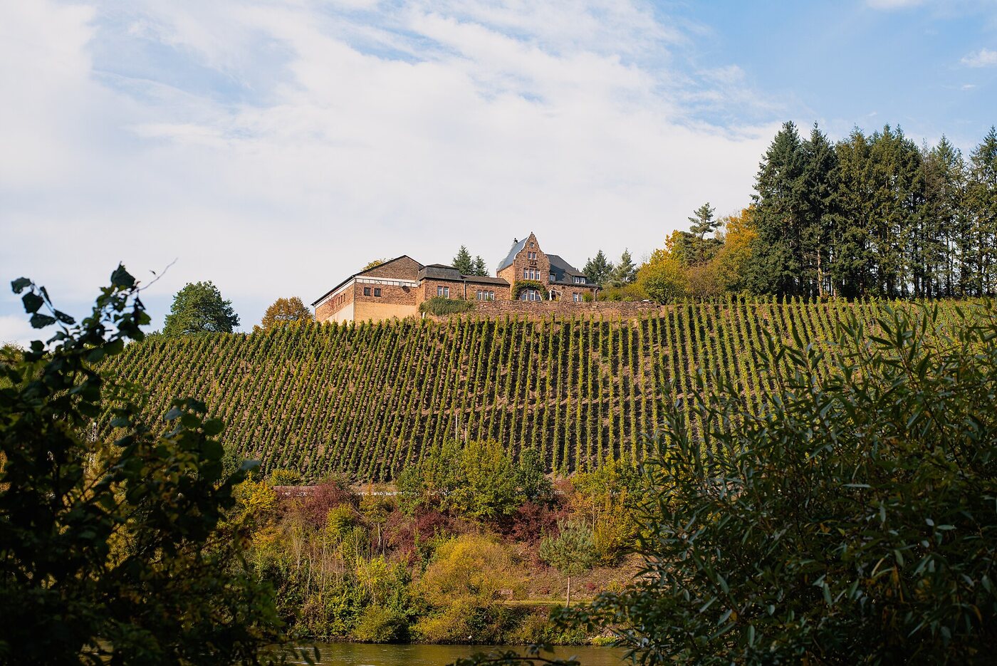 Weingut Würtzberg