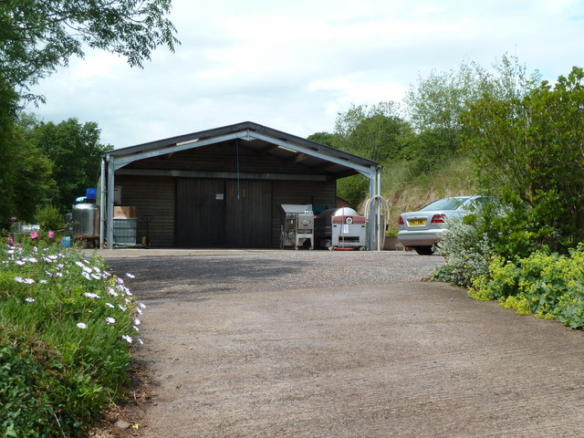 Yearlstone Vineyard